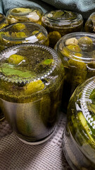 Jars of emerald pickles steeping, reminiscent of old-world canning ceremonies, resonate with National Pickle Day and autumn preservation rituals
