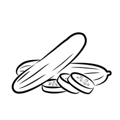 cucumber on white background, vegetable Illustration, cucumber Illustration 