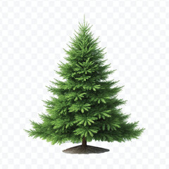 realistic 3d christmas tree without decorations in different color style isolated on transparent background