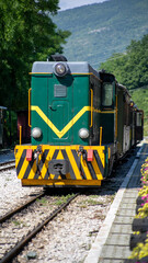 Vintage  Šarganska osmica green locomotive chugs along quaint countryside tracks, echoing nostalgia on Railway Heritage Day, evoking timeless travel allure