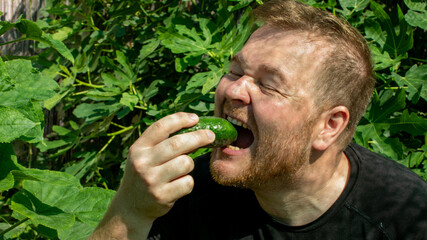 Joyful man savoring homegrown cucumber amid vibrant garden, celebrating World Cucumber Day,...