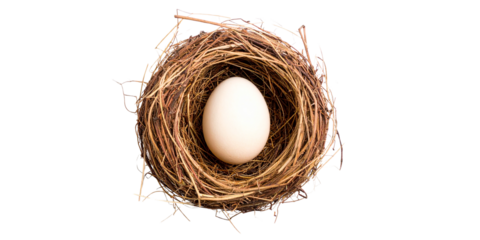 egg in nest