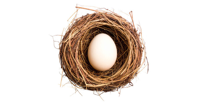 egg in nest