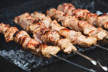 A skewer of meat is being cooked on a grill