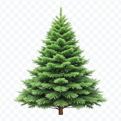 realistic 3d christmas tree without decorations in different color style isolated on transparent background