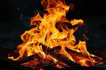 Real single flame fire bonfire fireplace campfire.