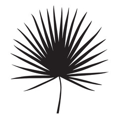 Palm Leaf Simple Silhouette