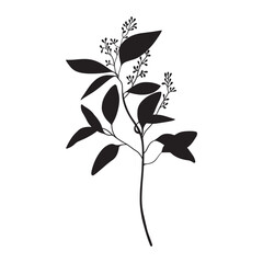 Palm Leaf Simple Silhouette