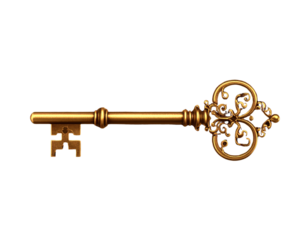 Detailed vintage key silhouette with intricate patterns and elaborate design features 