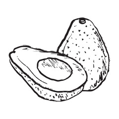 Whole and half sliced avocado vegetable in black brush stroke texture isolated on white. Hand drawn vector sketch illustration in vintage charcoal ink. Cooking ingredient, print design
