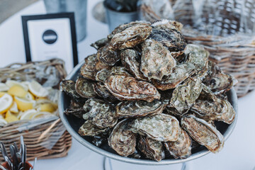 Fresh oysters on ice with lemon wedges served at wedding cocktail reception