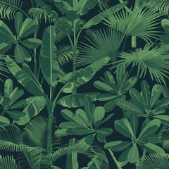Seamless pattern. Palms and succulent flowers on a black background. Desert and tropical thorny houseplants. 