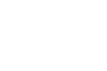 Realistic water drops on transparent background. Natural water droplet isolated on white. Summer product design element, PNG. Vector illustration