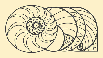 Geometric nautilus shell spiral pattern with intersecting lines and circles on a light yellow background