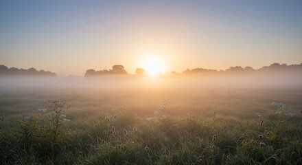 Obraz premium Misty Sunrise Over a Field