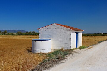 White rural shed with blue door in golden wheat field under clear blue sky. Surrounded by countryside landscape and a quiet dirt road creating a peaceful and rustic atmosphere