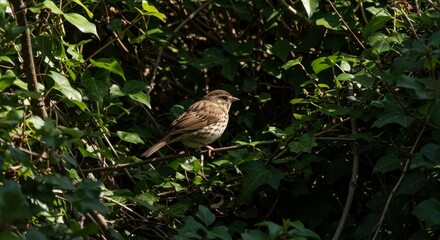 Brown Bird Perched on Branch Amidst Lush Green Foliage
