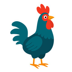 Chicken Rooster Animal Poultry Bird