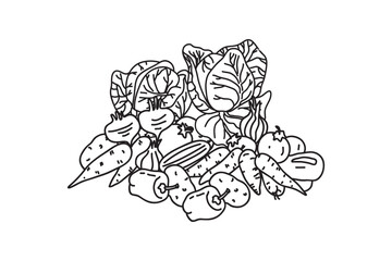Set Line art botanical different vegetables isolated on white background.Hand drawn outline veggies with Cabbage Carrot Pepper Onion Potato Tomato vector illustration.Graphic design element collection