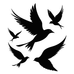 Fototapeta premium Flock of birds silhouettes flying in the sky for freedom concept