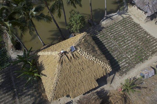 Aerial view of a golden thatched roof casting shadows near a tranquil pond amidst lush greenery, creating a striking contrast, Sundarban, West Bengal, India.