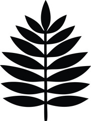 Elegant black fern leaf silhouette botanical design symbol nature plant element graphic artistry