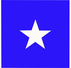 Obraz premium star icon vector illustration on white background