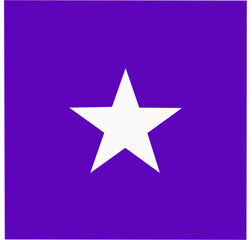 star icon vector illustration on white background