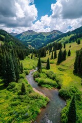 Obraz premium Scenic Mountain Valley With Stream And Lush Flora