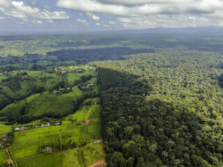 Aerial view of the stark contrast between cultivated fields and dense Mt. Kenya forest creates a dramatic landscape, showcasing the impact of agriculture, Central Kenya.
