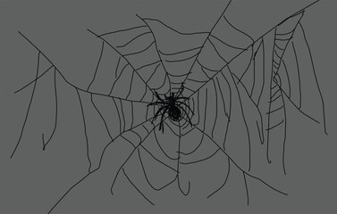 Spider web vector illustration design.eps