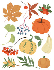 Autumn Season Leaves Pumpkins Natural Harvest Collection. Vector Illustration Fall Vegetables Natural Plants.