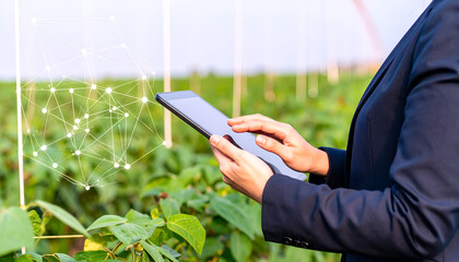 Consultant Exploring Blockchain Technology in Agricultural Landscape