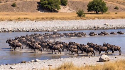 The magnificent picture of wildebeest migration