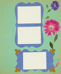 Page for stories. Photo album layout with empty photo frame and dry flowers boutonniere. Scrapbook composition with floral element. Page from photo album. Pressed and dried aster flowers.