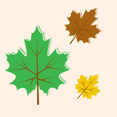 autumn maple leaves of different colors