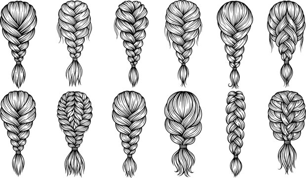 Braided hairstyles, intricate braid illustrations, vector hair designs, stylish plait patterns, creative hair braiding art, fashionable hairstyle icons, detailed hair texture drawing