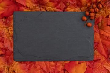 Blank chalkboard sign with fall leaves for autumn season themes