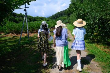 農園でブルーベリー狩りを楽しむ麦わら帽子の女の子