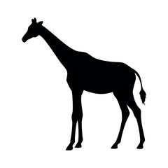 Giraffe Standing Silhouette Vector Art 