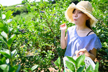 農園でブルーベリー狩りを楽しむ麦わら帽子の女の子