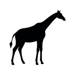 Giraffe Standing Silhouette Vector Art 