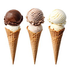Delicious Variety of Chocolate and Vanilla Ice Creams