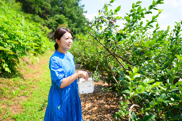農園でブルーベリーを摘み取るミドル女性