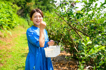 農園でブルーベリーを摘み取るミドル女性