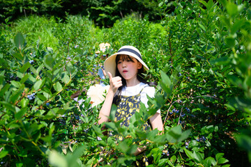 農園でブルーベリー狩りを楽しむ麦わら帽子の女の子
