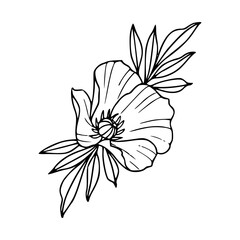 floral outline drawing for coloring pages