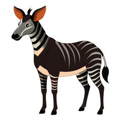 zebra isolated on white