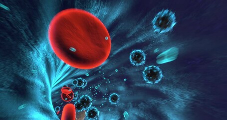 Medical 3D animation showing red blood cells inside bloodstream. Science And Healthcare Related 3D Animation. - Powered by Adobe