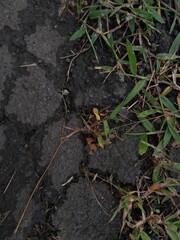 detailed photo of stone texture